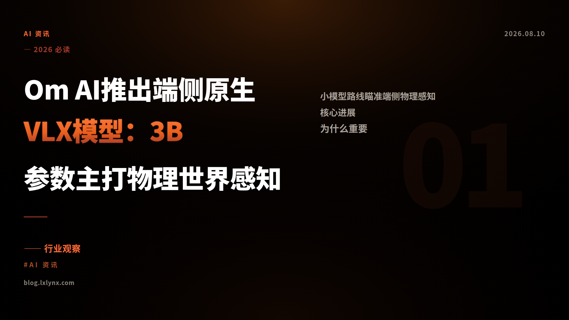 Om AI推出端侧原生VLX模型：3B参数主打物理世界感知